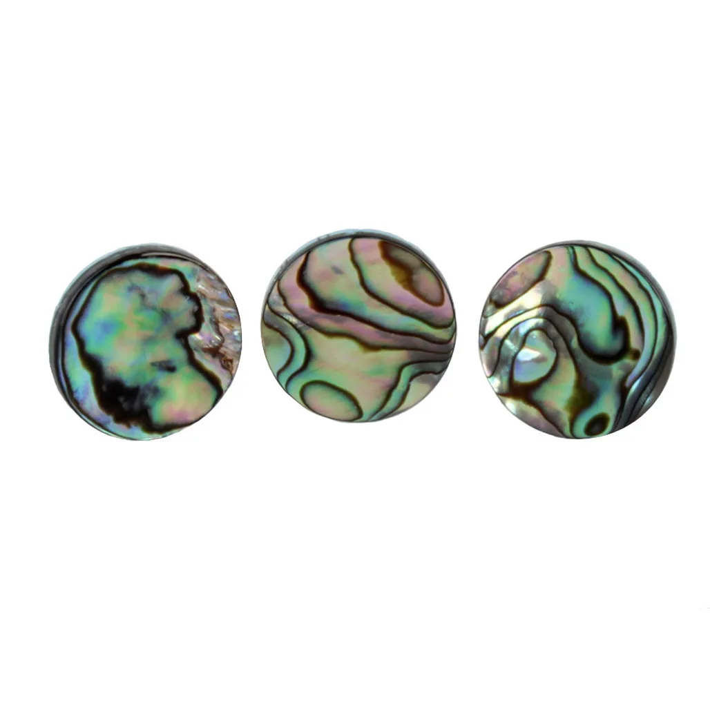 3pcs/set Trumpet Abalone Shell - Trumpet Valve Oil review and price